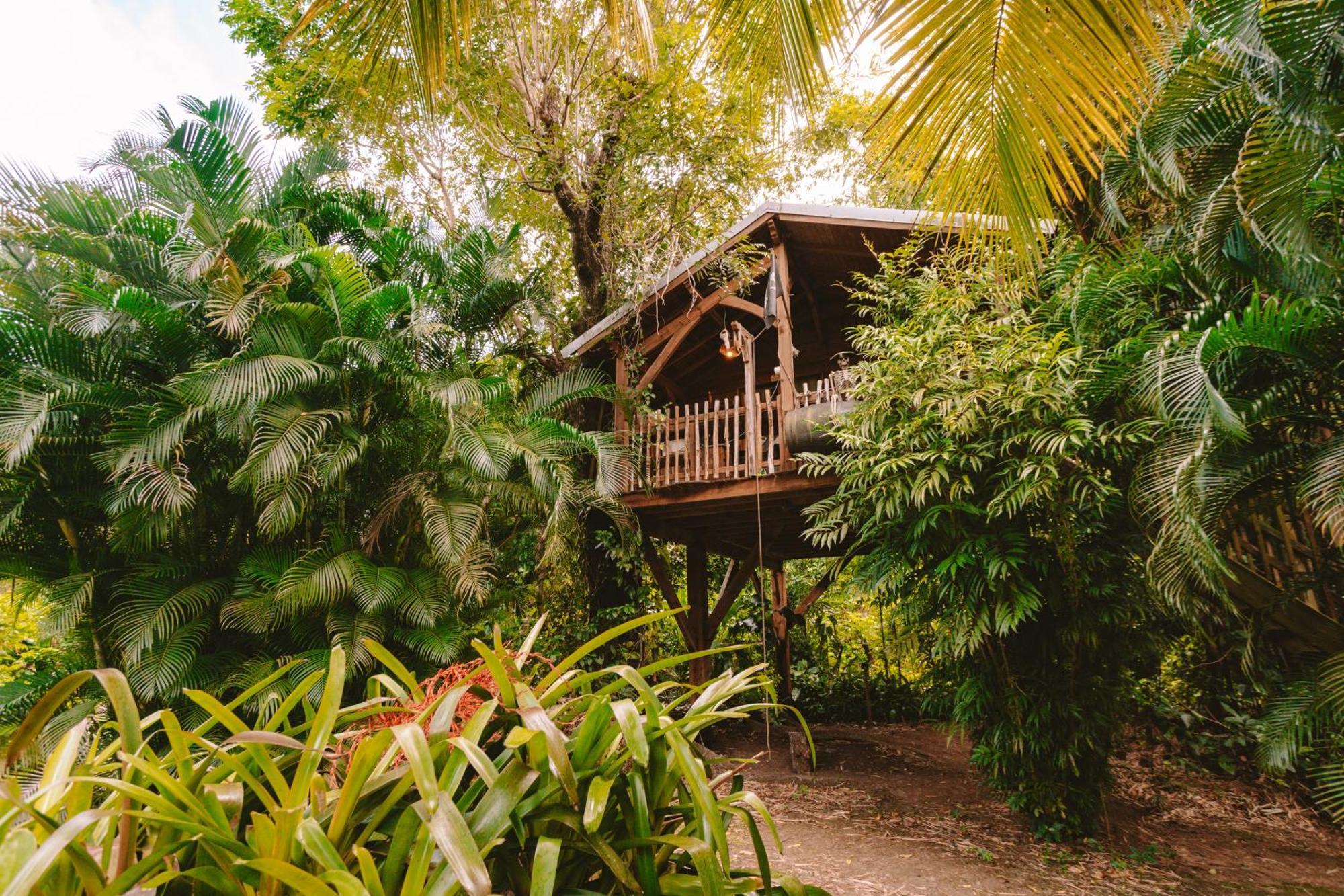 West Indies Cottage Pointe-Noire Exterior photo